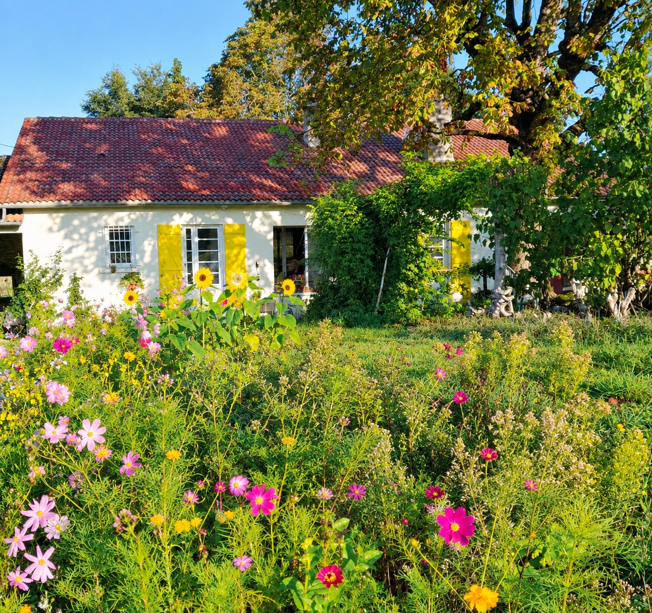 La Ferme ô Mimosas